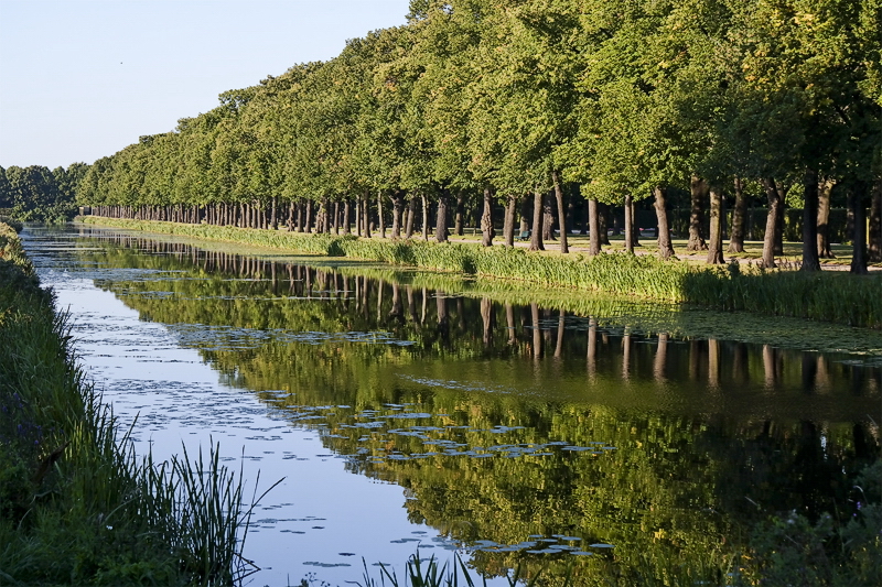 Baum Mecklenburgische Seenplatte SAM_3222 als Smart-Objekt-1 Kopie.jpg - Auch die Natur um die Herrenhauser Gärten war sehenswert